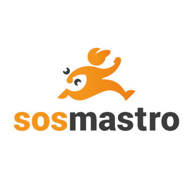Logo sosmastro idraulici a bergamo